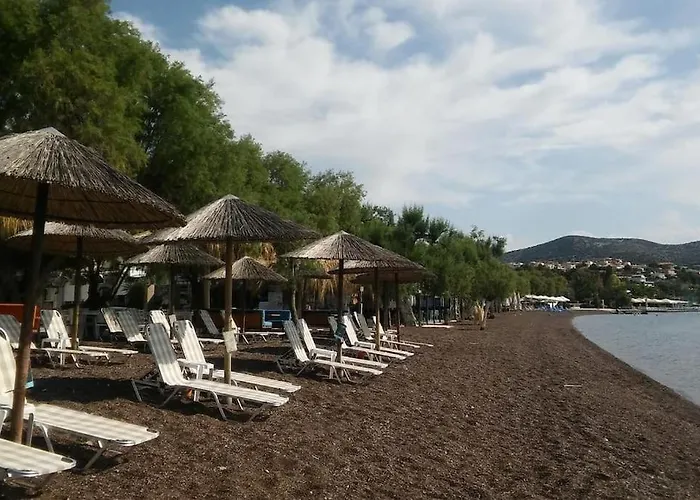 Appartement Allure Loft