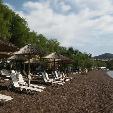 Apartamento Allure Loft